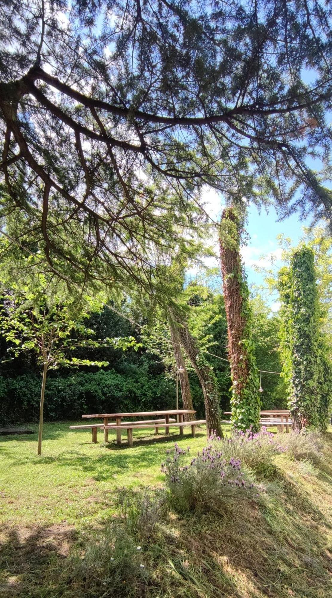 Bordon Wines, Estate With Accommodation Dekani Extérieur photo